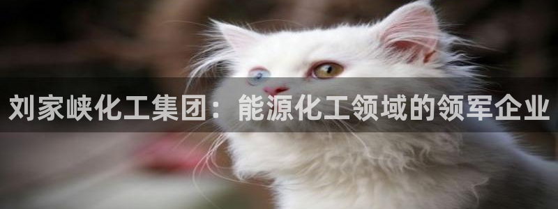 球盟会黑钱