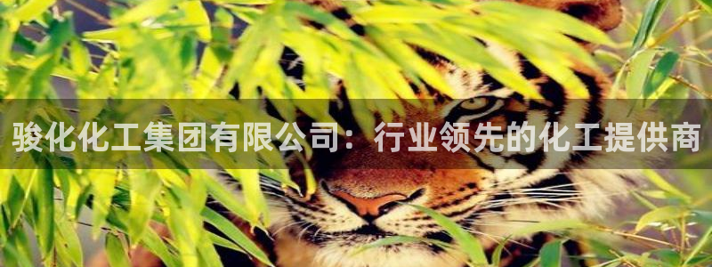 球盟会里面有打牌的嘛知乎：骏化化工集团有限公司：行业领先的化