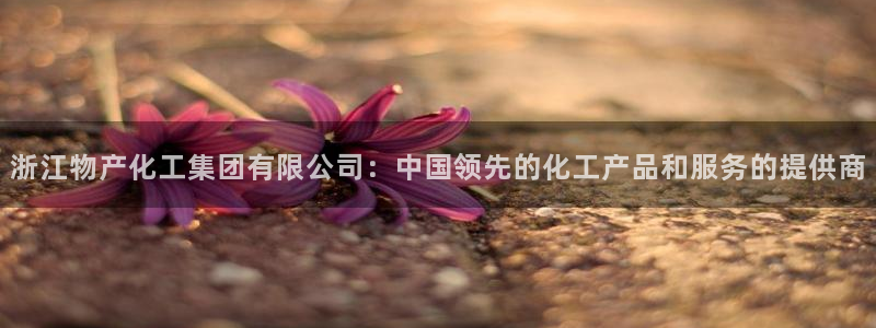 球盟会里面有打牌的嘛知乎：浙江物产化工集团有限公司：中国领先