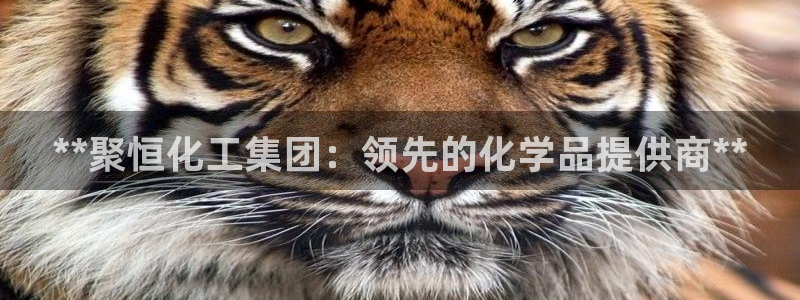 球盟会出款黑了：**聚恒化工集团：领先的化学品提供商**