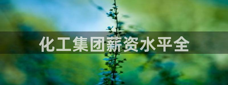球盟会封号