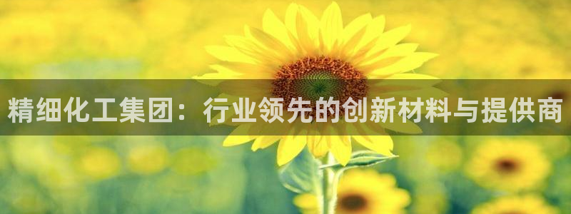 球盟会登陆：精细化工集团：行业领先的创新材料与提供商