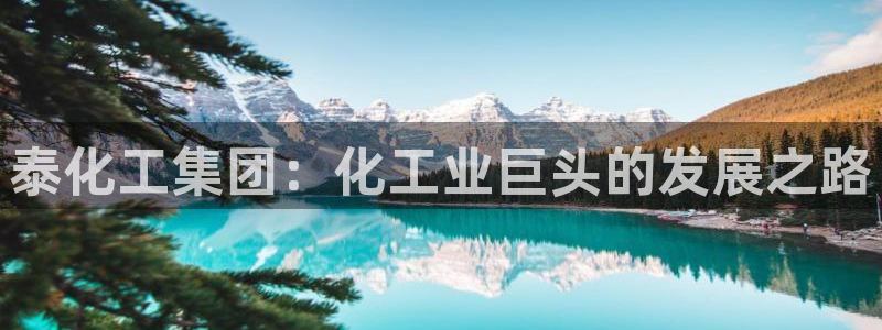 球盟会邮箱