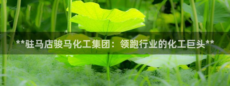 球盟会和中欧合作吗