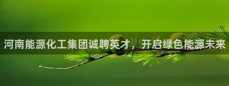 球盟会官网网页版：河南能源化工集团诚聘英才，开启绿色能源未来