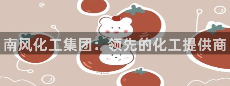 球盟会登陆入口：南风化工集团：领先的化工提供商
