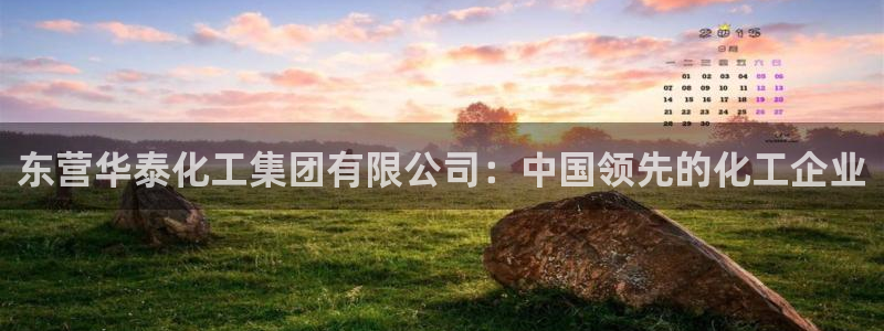球盟会平台会黑单吗：东营华泰化工集团有限公司：中国领先的化工