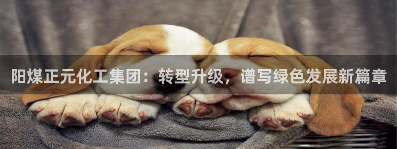 球盟会出款黑了
