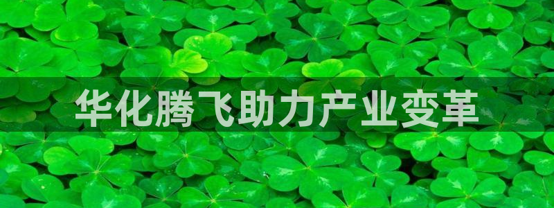 球盟会官网入口：华化腾飞助力产业变革