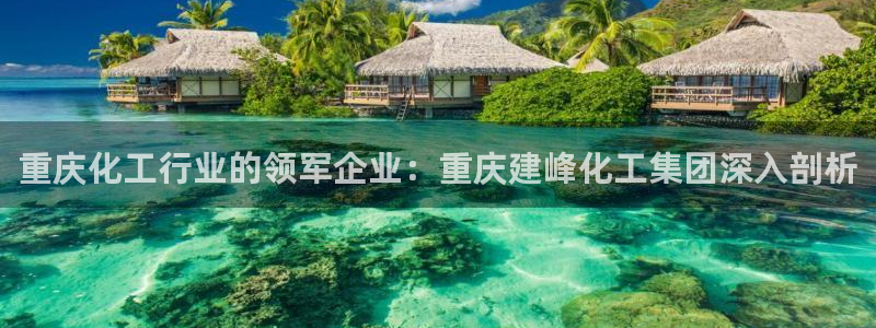 球盟会在线官网：重庆化工行业的领军企业：重庆建峰化工集团深入