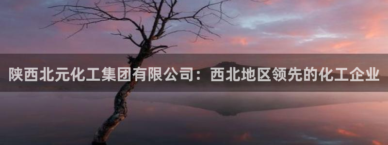 球盟会可以提现么现在：陕西北元化工集团有限公司：西北地区领先