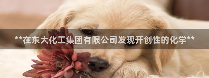 球盟会在线官网：**在东大化工集团有限公司发现开创性的化学*
