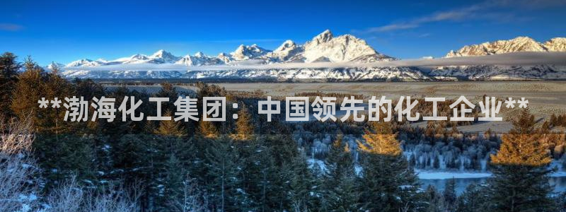 球盟会优惠领取网站：**渤海化工集团：中国领先的化工企业**
