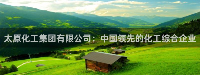 球盟会有没有黑单的：太原化工集团有限公司：中国领先的化工综合