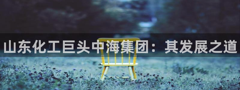 球盟会qm