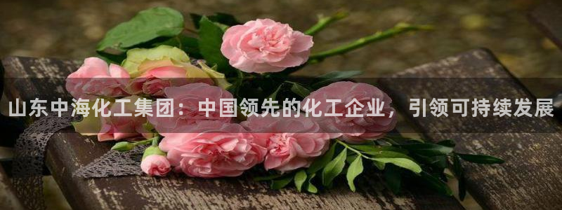 球盟会进不去吗：山东中海化工集团：中国领先的化工企业，引领可