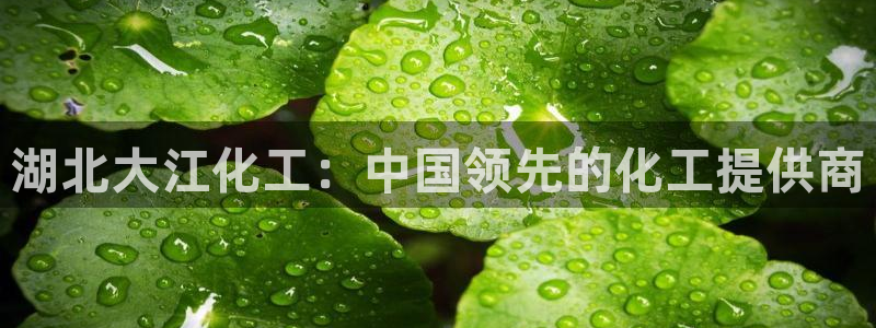 球盟会国际官网：湖北大江化工：中国领先的化工提供商