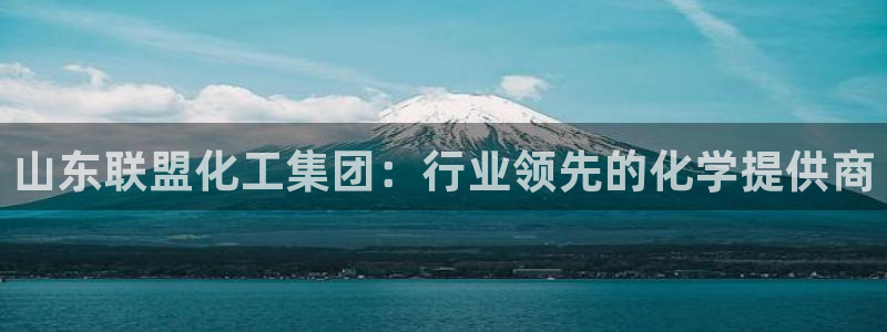 球盟会下载最新版：山东联盟化工集团：行业领先的化学提供商
