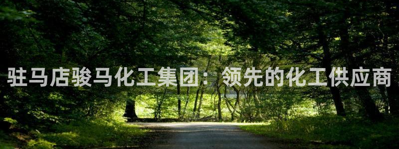 球盟会下载最新版：驻马店骏马化工集团：领先的化工供应商