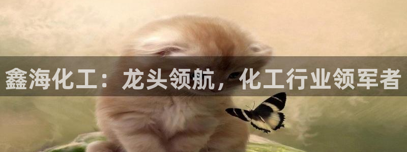 球盟会和中欧会的区别