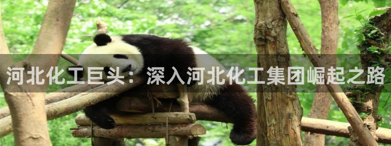 球盟会黑台