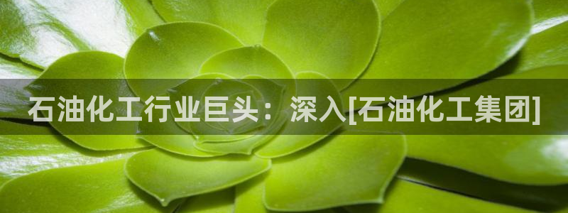 球盟会能退钱吗知乎：石油化工行业巨头：深入[石油化工集团]