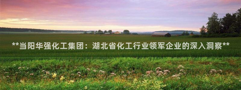球盟会类似的网站：**当阳华强化工集团：湖北省化工行业领军企