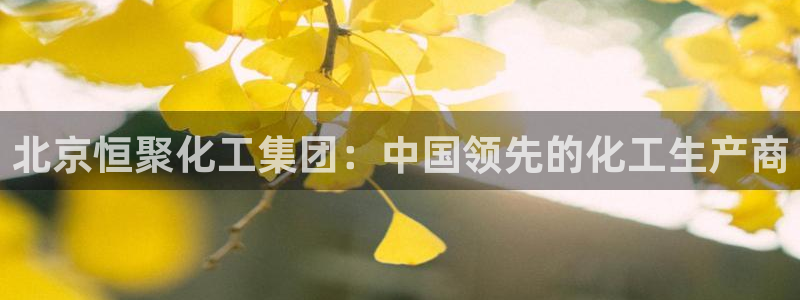 球盟会和中欧：北京恒聚化工集团：中国领先的化工生产商