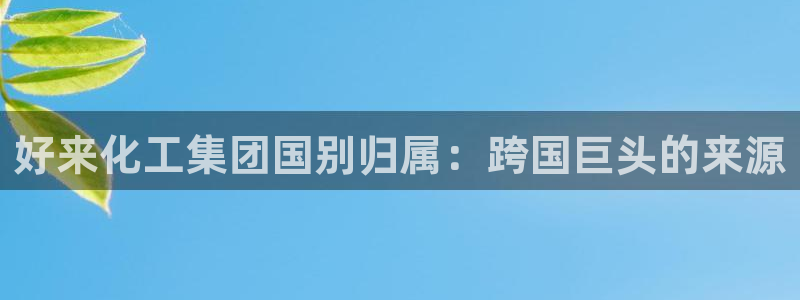 球盟会最新活动：好来化工集团国别归属：跨国巨头的来源