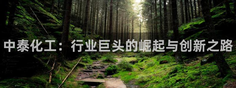 球盟会黑