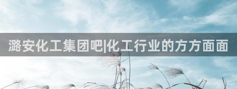 球盟会qmh登录地址