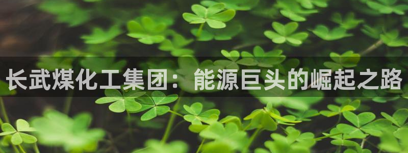 球盟会可以提现么现在