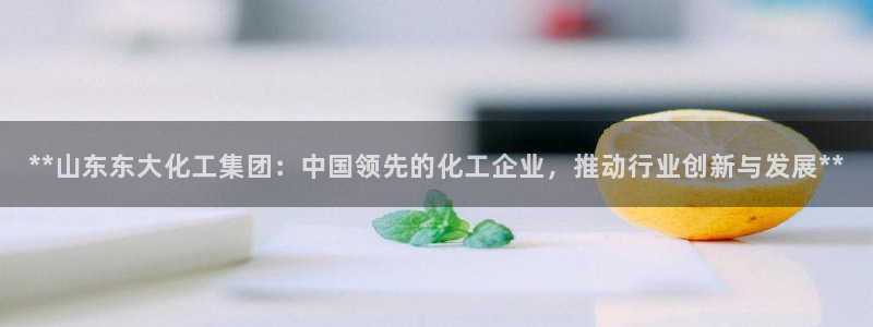 球盟会论坛：**山东东大化工集团：中国领先的化工企业，推动行