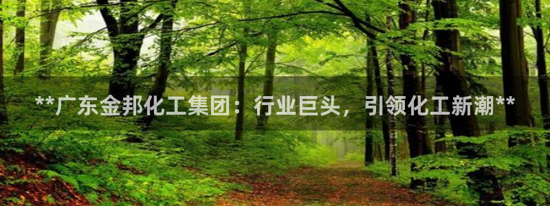 球盟会app网址多少