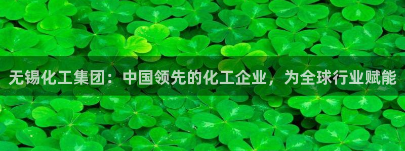球盟会app最新地址下载：无锡化工集团：中国领先的化工企业，