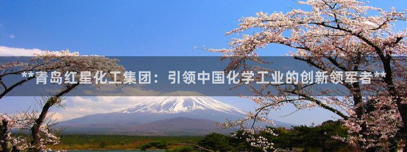 球盟会有没有黑单的活动：**青岛红星化工集团：引领中国化学工