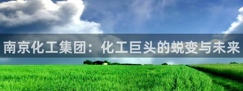 球盟会封号