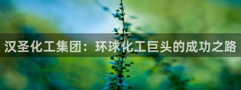 球盟会里面有打牌的嘛知乎