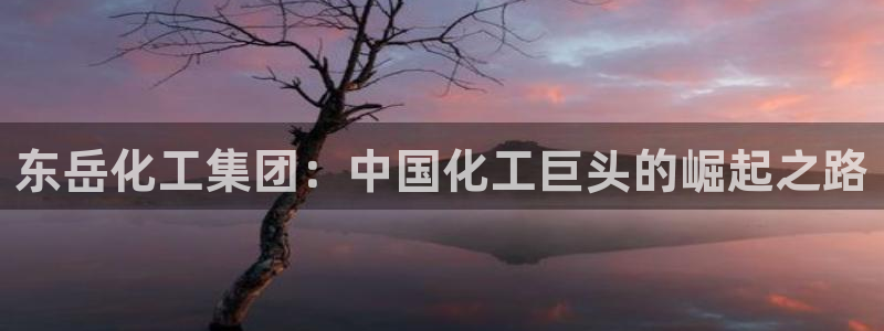 球盟会进不去