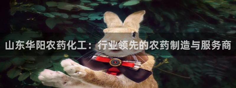 球盟会有没有黑单的球员：山东华阳农药化工：行业领先的农药制造