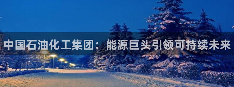 球盟会app安装：中国石油化工集团：能源巨头引领可持续未来