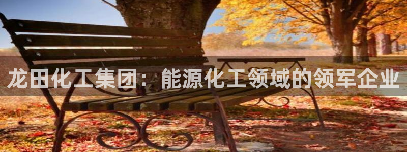 球盟会中国官方网站