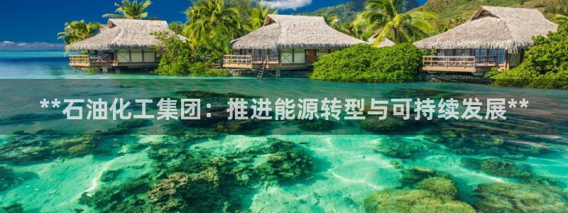 球盟会可以提现么：**石油化工集团：推进能源转型与可持续发展