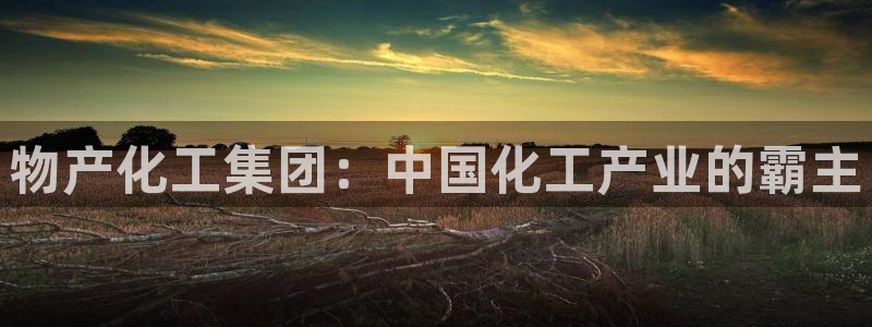球盟会官方
