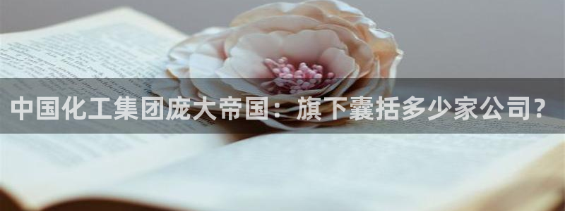 球盟会下载最新版