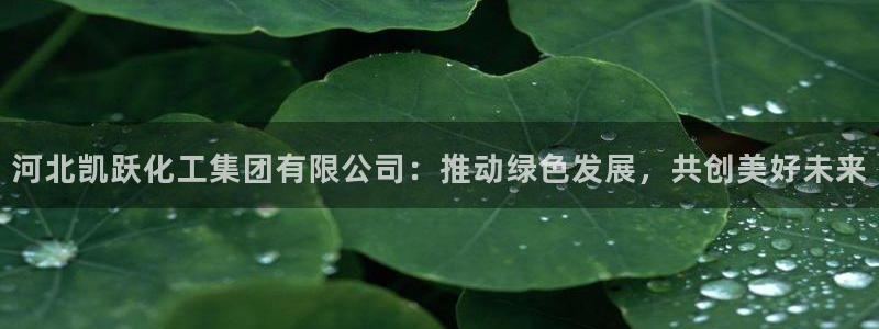球盟会封号：河北凯跃化工集团有限公司：推动绿色发展，共创美好