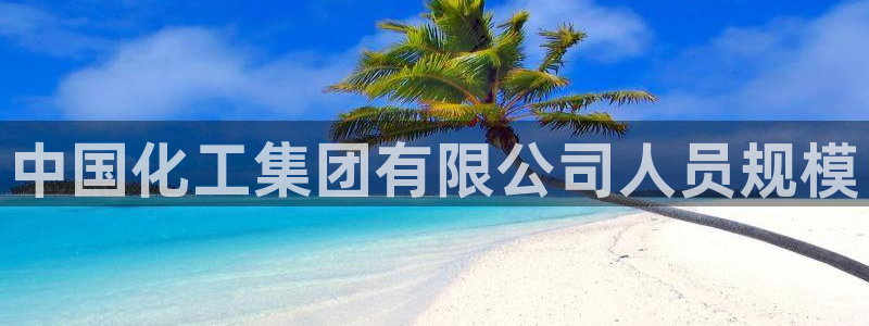球盟会平台怎么样