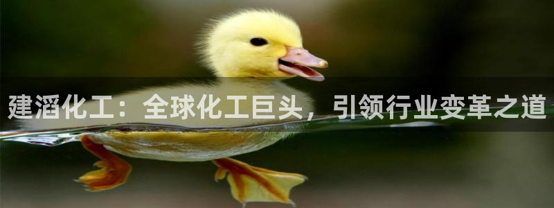 球盟会最新活动