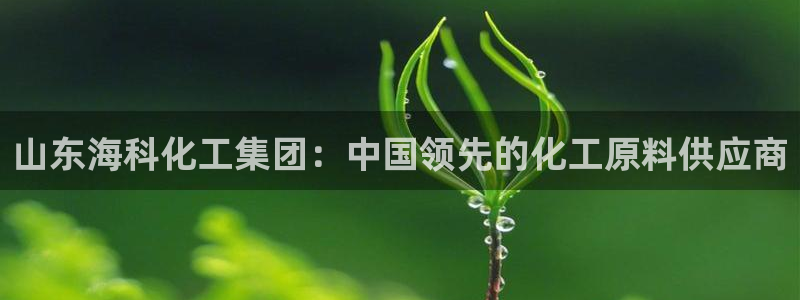 球盟会几点玩合适：山东海科化工集团：中国领先的化工原料供应商