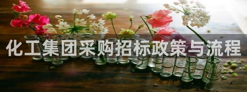球盟会在线登入